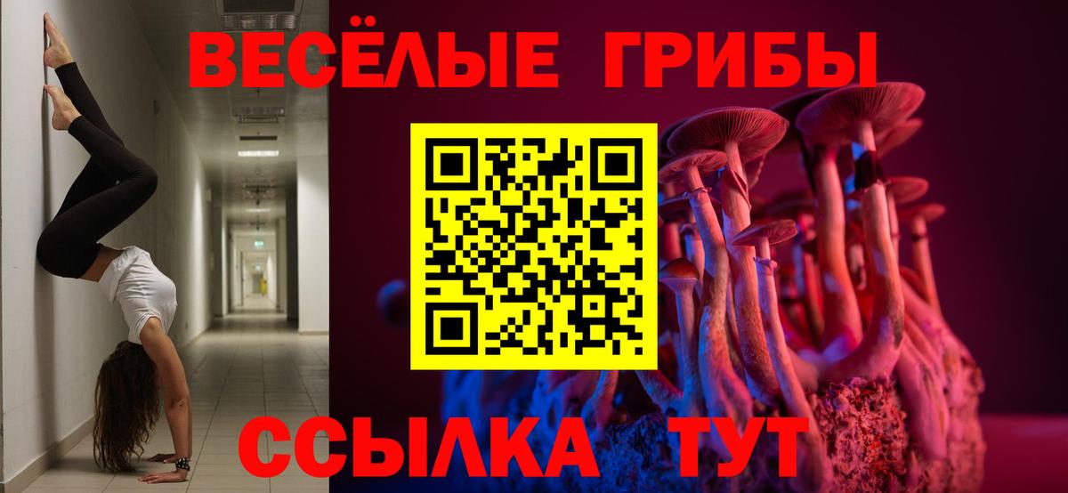 купить наркотик  Галлюциногенные грибы ЛСД  Дальнереченск  Вход с VPN  Псилоцибиновые грибы MAGIC MUSHROOMS 