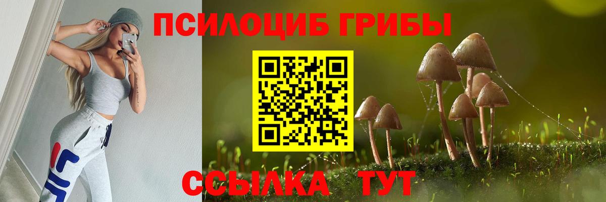 Галлюциногенные грибы Psilocybine cubensis Дальнереченск